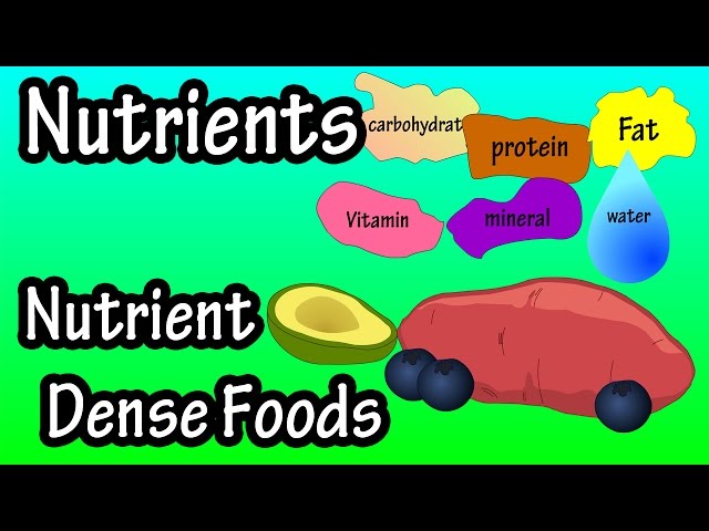What Are Nutrients - What Is Nutrient Density - What Are Nutrient Dense Foods?