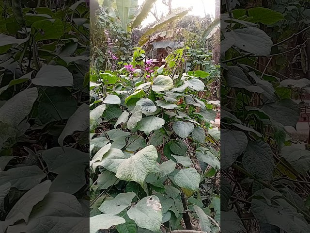 YouTube Video SEO করার সম্পূর্ণ গাইড ২০২৬ | Rank Your Video Fast |