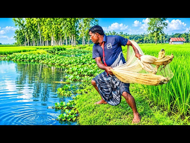 Fisherman’s Net in the Heart of the Green Village Will He Catch a Big Fish Today Watch Till the End