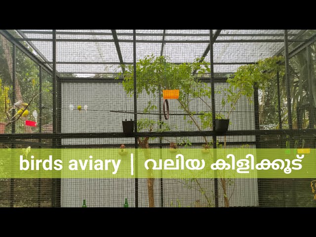 Aviary overview|Malayalam|Birds Aviary|Pleasure In Leisure|Love birds|Flight Cages|Flying Cages