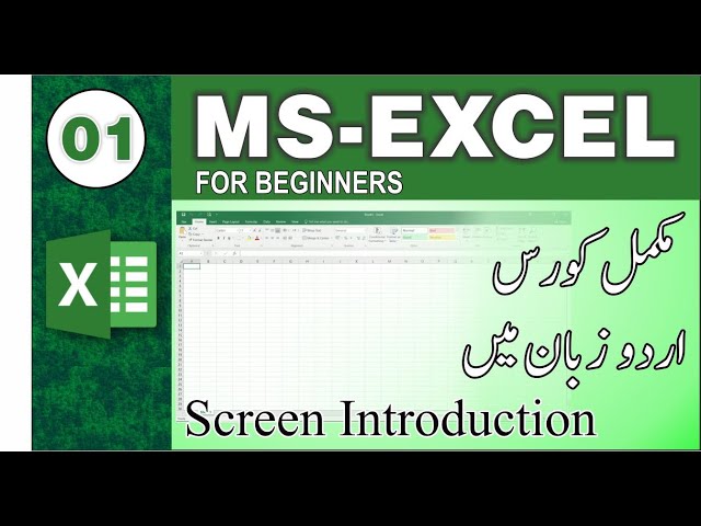Microsoft Excel Tutorial in Urdu / Hindi - Screen Introduction Class 01.