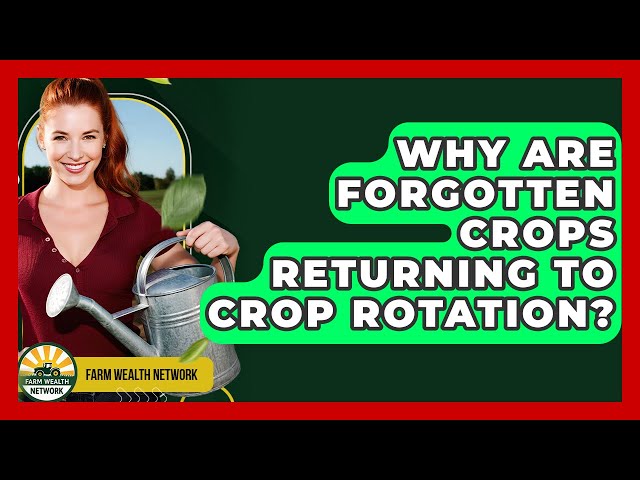Why Are Forgotten Crops Returning To Crop Rotation? - Farm Wealth Network