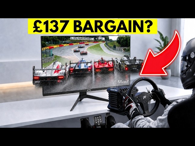 Can You Sim Race On A £137 Monitor?