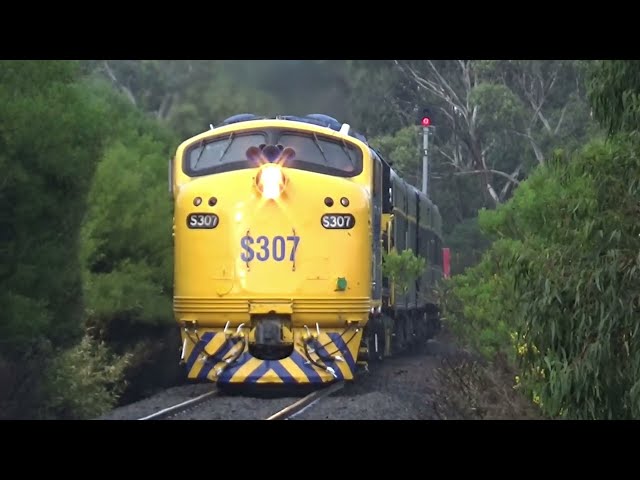 Seymour Railway Heritage Centre (SRHC) Hamilton-Chrome Loop, Branxholme Shuttles