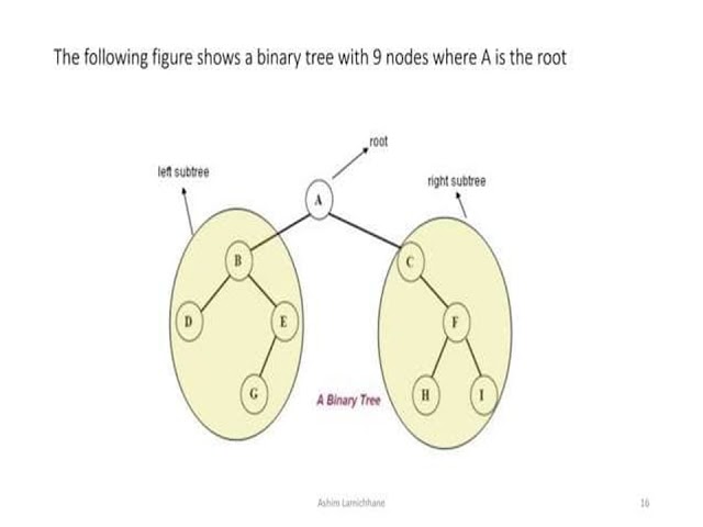 UNIT III   TREES
