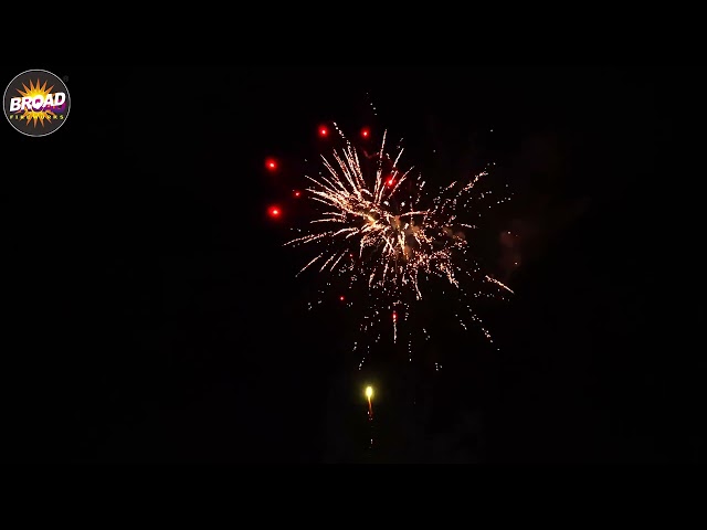 2026 NEW BS5030-2-26 30*36*225MM 50SHOTS STRAIGHT SHAPE F3 CAKE