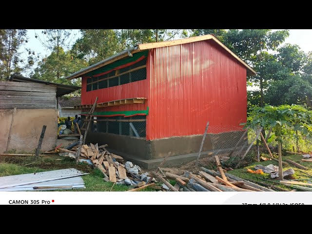 How we build 1000 chicken house in 5 days at only ksh 500k.