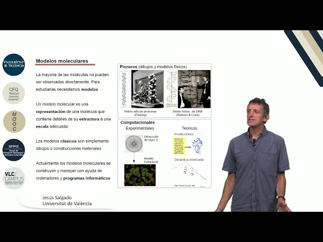 3.8. Protein modeling.