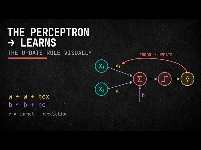 How a Perceptron Learns | The Update Rule Explained Visually