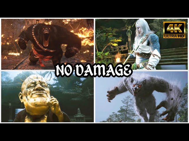 Black Myth: Wukong | Chapter 1 All Bosses (NO DAMAGE) [4K]