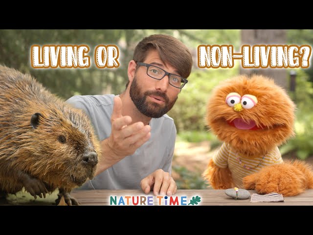 Exploring Living & Non-Living Things | Garbanzo's Pet Rock | Kids Science | Nature Time