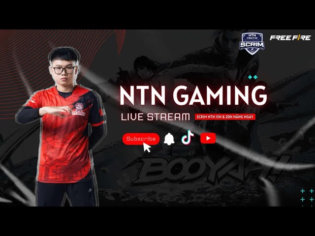 SCRIM NTN 15H CPR TAY TO  - 2/6