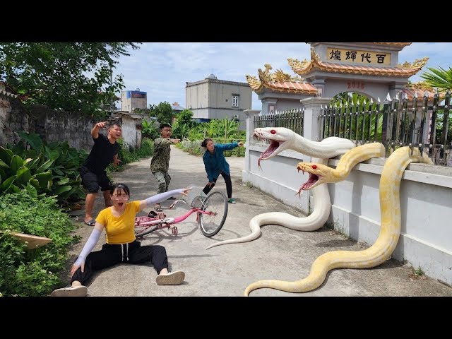 The brave soldier confronts two giant pythons in the abandoned house.