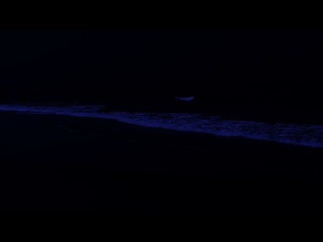 Sleep For 24 Hours Straight, High Quality Stereo Ocean Sounds Of Rolling Waves For Deep Sleeping