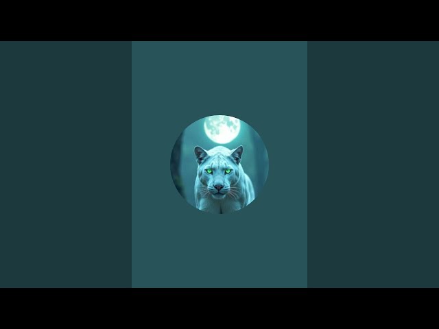 math qwiz chalange 🧠🔥