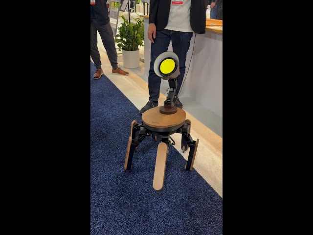 Mi-Mo is a customizable general-purpose AI robot from Jizai | TechCrunch