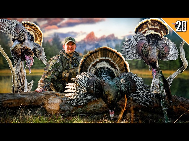 EPIC Turkey Road Trip!!! (3 Public Land Gobblers in 3 Days!)