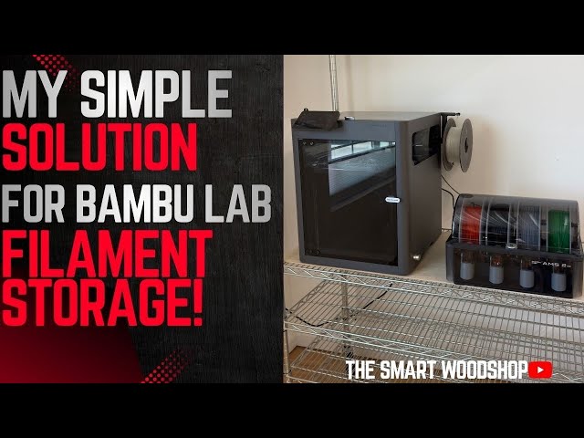 How I Keep My Bambu Lab Filament Dry and Organized