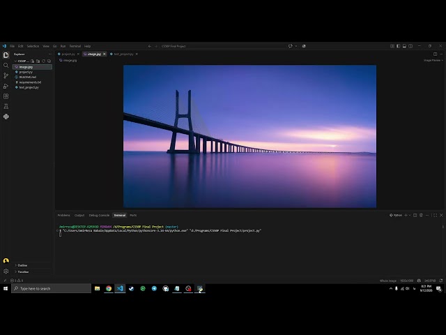BinPic - CS50P Final Project 