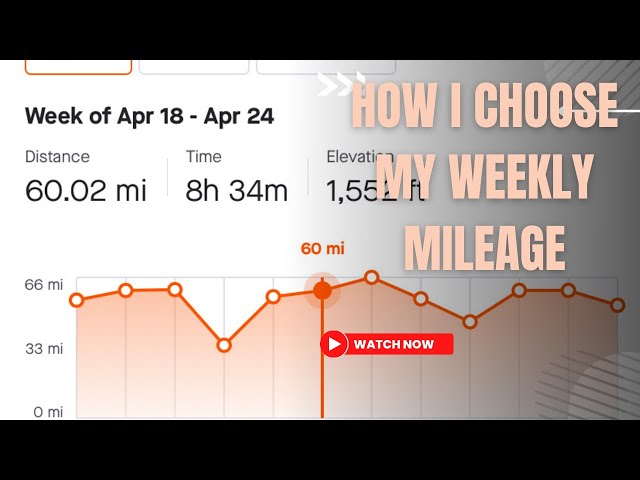 CR Plots: Race Predictor