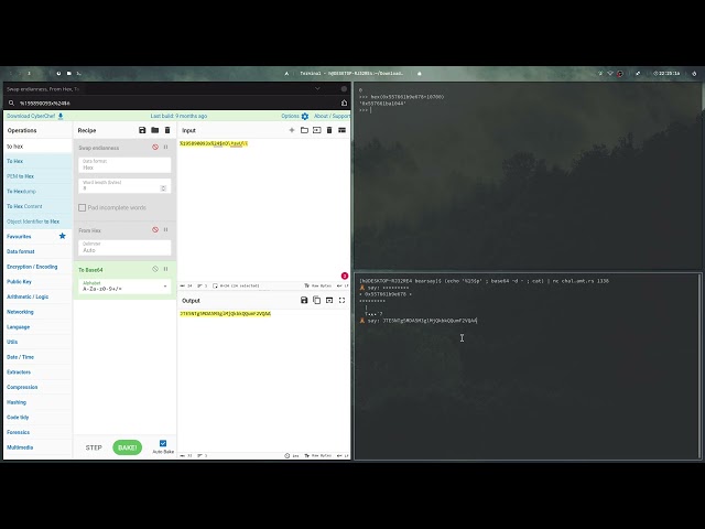 I don't know how to use pwntools