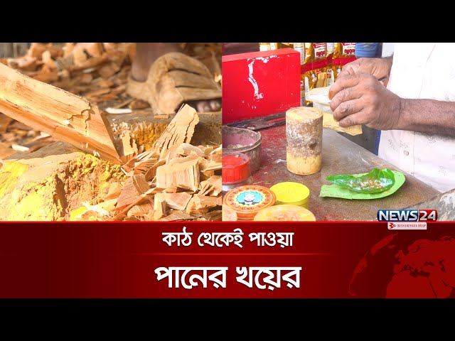 যেভাবে তৈরি হয় পানের খয়ের | Catechu | How to Make Catechu | News24