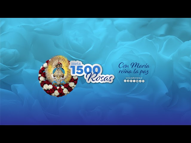Programacion 24/7