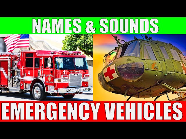EMERGENCY VEHICLES Names and Sounds | Fire Truck, Police Car, Ambulance for Children, Toddlers