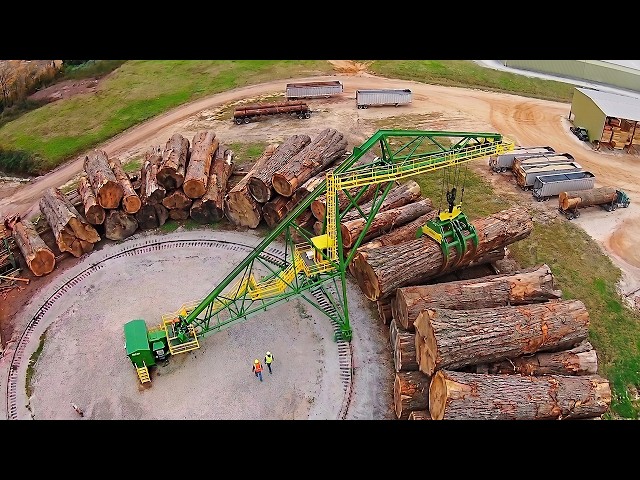 Inside the World's Most Advanced Sawmills | How Giant Trees Become Wooden Pallets