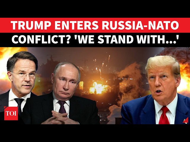 US Enters Russia-NATO HOT ZONE? ’Total Support To…’: Trump Fumes After Putin's Forces Strike Romania