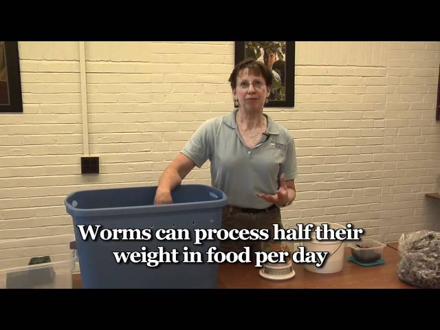 Worm Composting