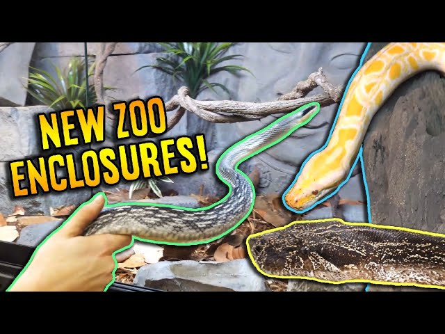 Moving the First SNAKES into the Zoo!!