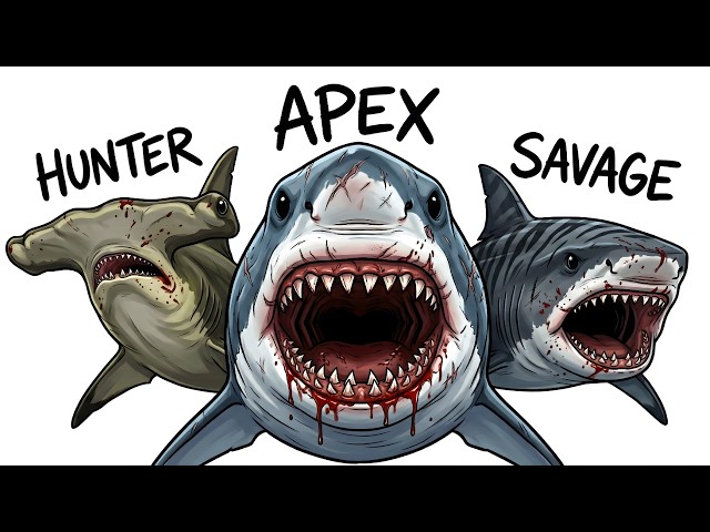 Every SHARK TYPE Explained in 9 Minutes