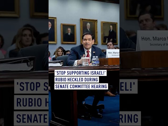 'Stop supporting Israel' - Rubio heckled during Senate committee hearing