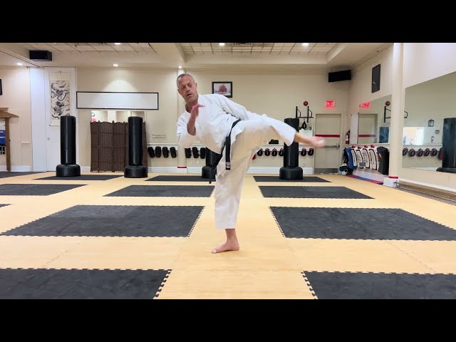 Karate Kicks 3 Tips to improve your Mawashi Geri / Roundhouse Kicks 