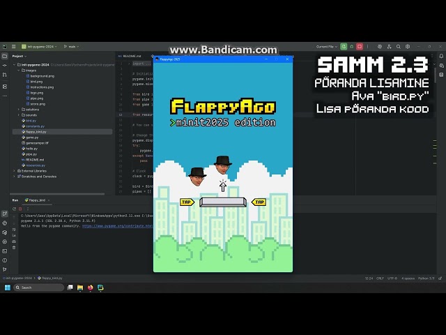 PyGame - Flappy Bird näide