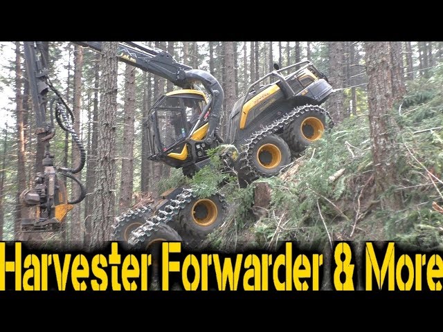 🌲🌲🌲 Best of Logging 2017 🌲🌲🌲 Compilation