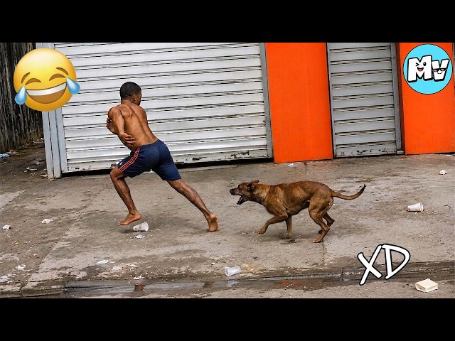 VIDEOS DE RISA 😂 SI TE RÍES PIERDES NIVEL DIOS #61 😆 HUMOR VIRAL MEXICANO🤣