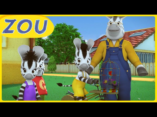 ZOU apprends à faire du vent | Compilation d'1h | ZOU en français 🦓 Dessins animés pour enfants