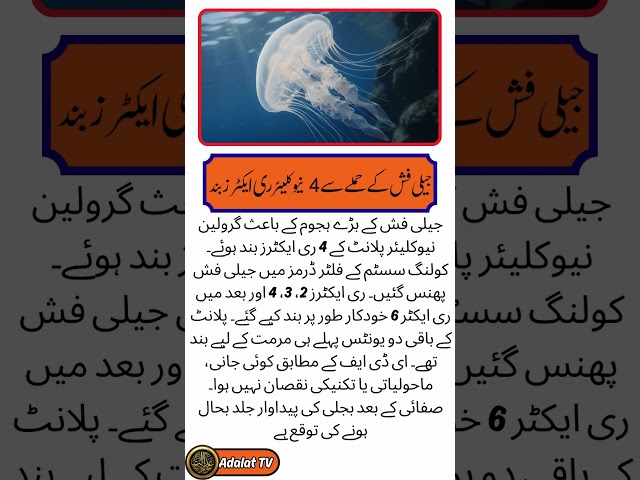 "4 Powerful Quotes That Will Inspire & Unlock Guide You Towards Success!