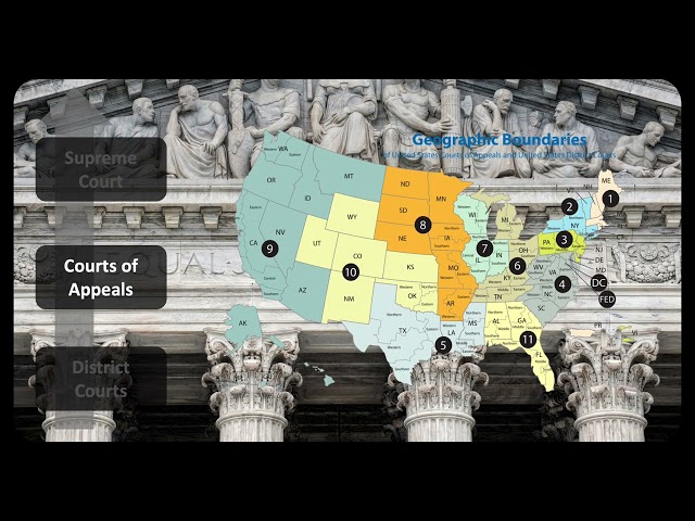 The US Federal Court System: Structure and Function Explained