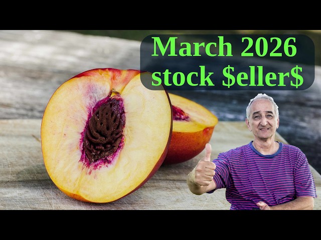 My Stock Photo Earnings March 2026 | Behind The Numbers