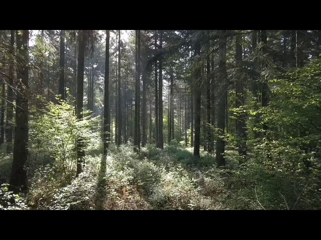 Houppeville en Mavic Pro