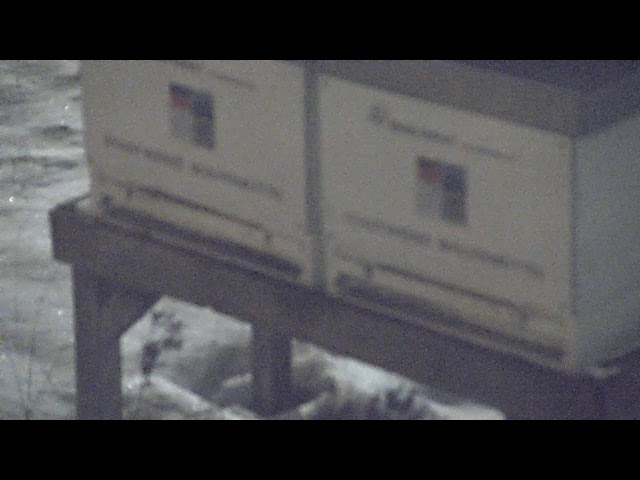 Bienen Stadtwerke Wolfenbüttel