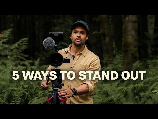 How to become a Wildlife Filmmaker in 2026