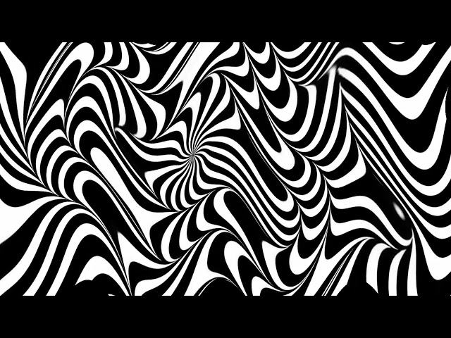 Black White Zebra Moving Flow Screen 🦓 10 Hours No Sound 