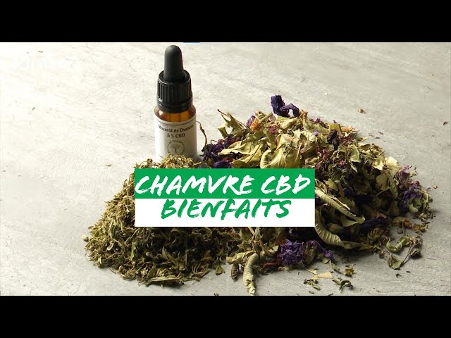 The benefits of CBD hemp