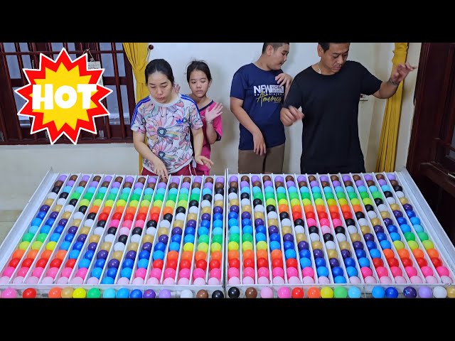Play Color Ball Sort with your family – Who will win? ⭐️ level 11