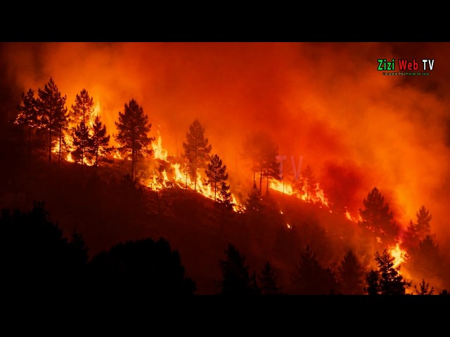 Forest Fire Situation in Tizi-Ouzou on August 26, 2026 … The Details …