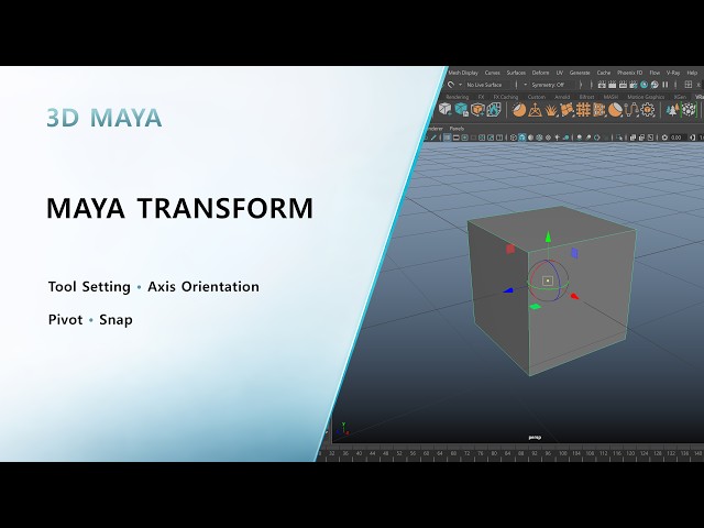 Maya Transform Tool Complete Guide